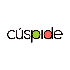 Cúspide - Cliente de HM-NET